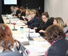 Reunião Plenária do Conselho Estadual de Assistência Social - CEAS/PR  - Foto: Aliocha Maurício/SEDS