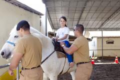 Projeto de equoterapia da Policia Militar Montada do Paraná. Na foto: Maria Eduarda Ramos. sendo auxiliada pelo fisioterapeuta Geter Kleink.  Curitiba, 16-09-2015. Foto: Adrieli Takiguti /SEDS