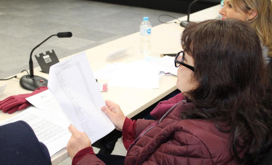 Reunião Plenária do Conselho Estadual de Assistência Social - CEAS/PR  - Foto: Aliocha Maurício/SEDS